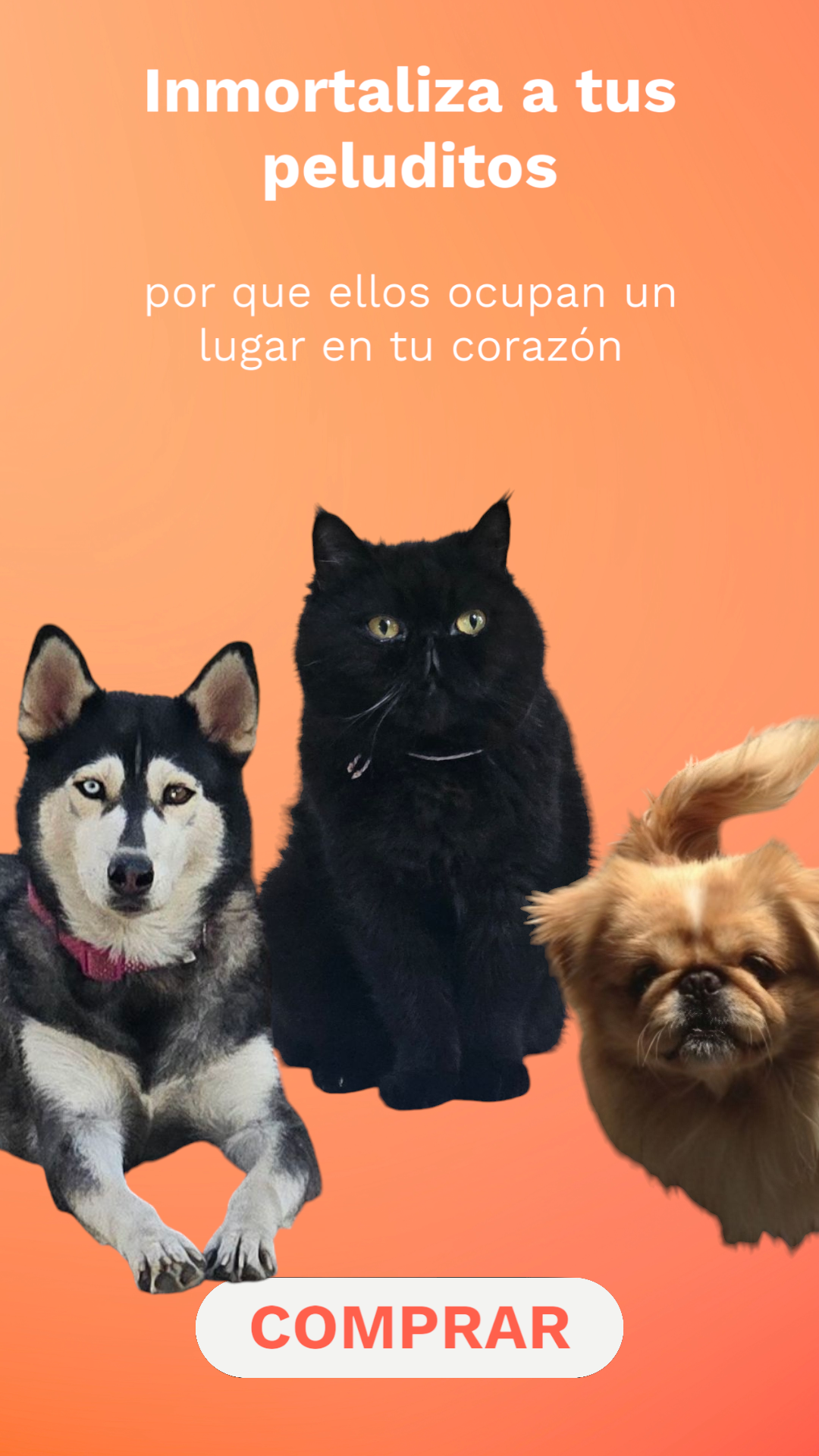 productos de mascotas